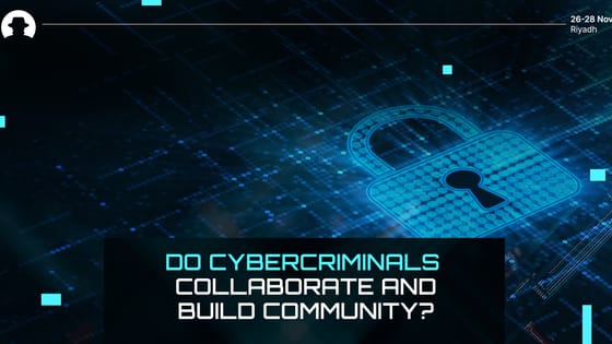 Do cybercriminals collaborate and build community?